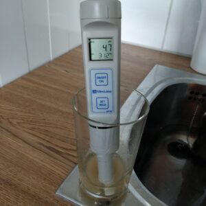 Measured pH before souring