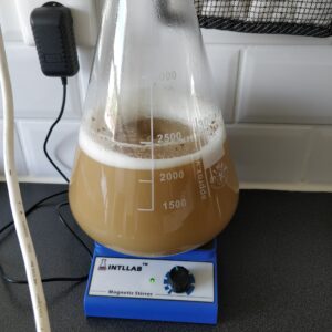 Yeast starter ready