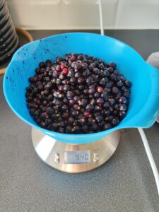 Scaling blackcurrant