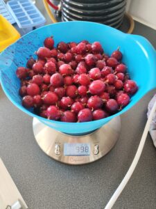 Scaling gooseberry